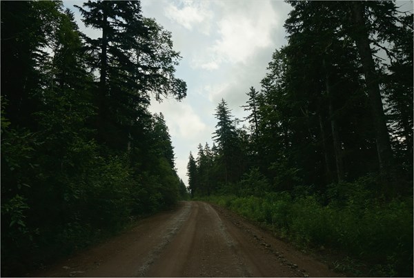 Дорога на Власьево. Выезд на Северный перевал.